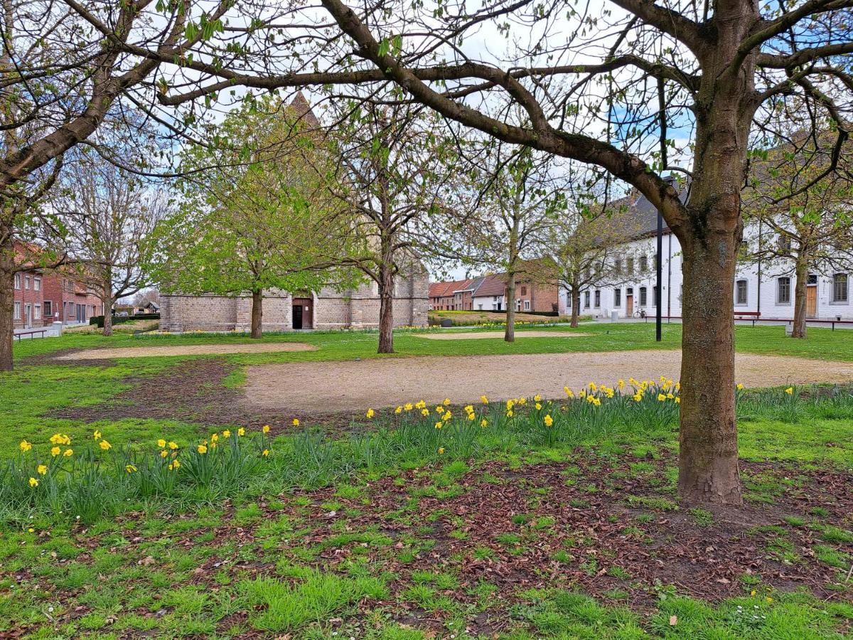 Vila Begijnhof 54 Sint-Truiden Exteriér fotografie